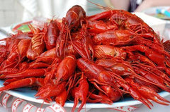 20 Pounds Live Crawfish